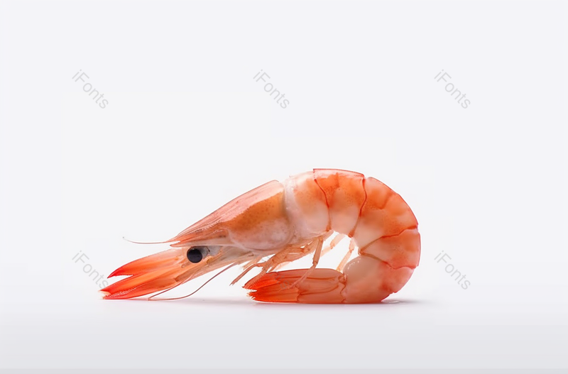 白色背景食用大虾美食,高清,摄影图,摄影图片,图片大全,摄影图免费下载